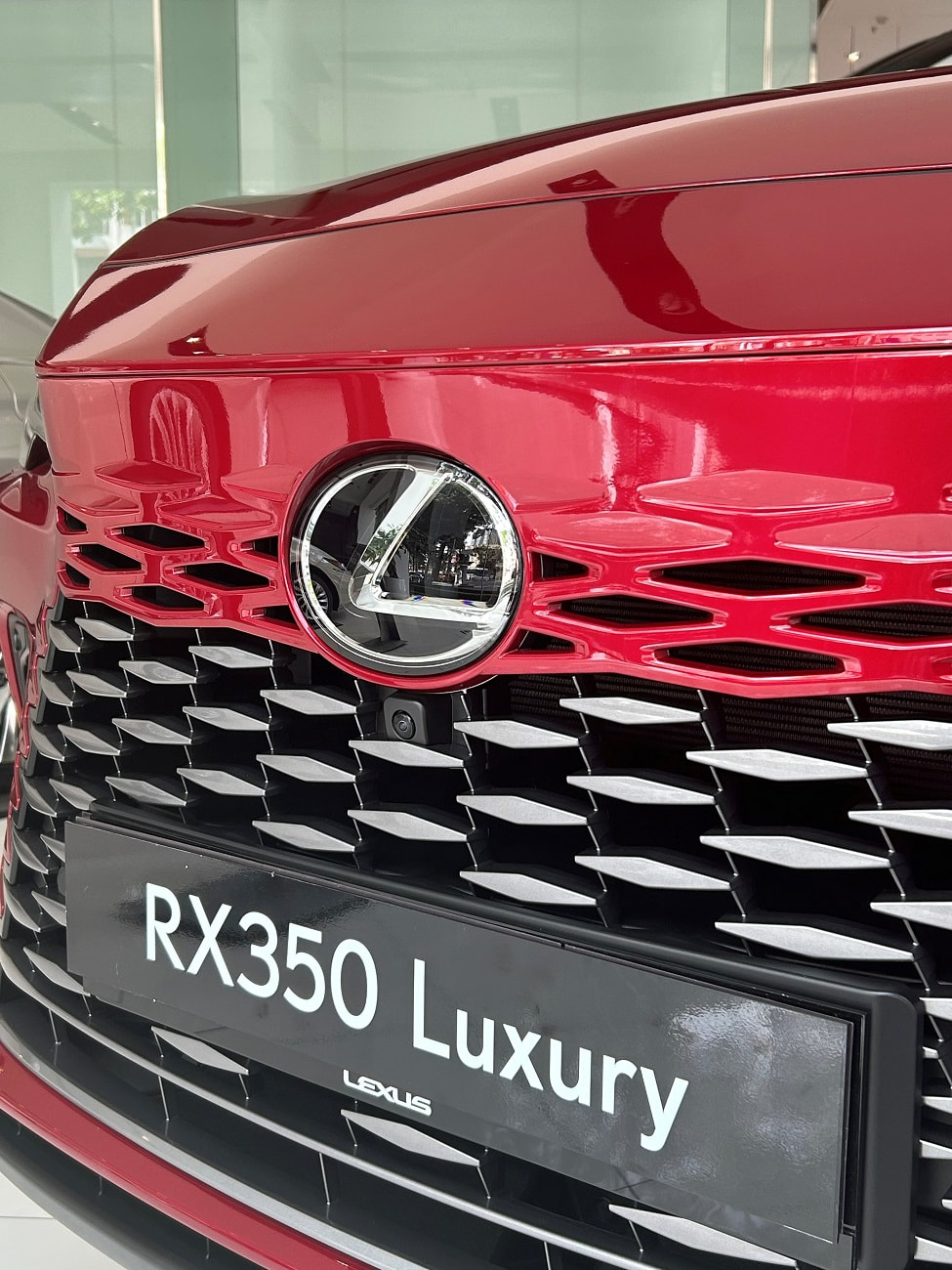 RX 350 Luxury giá xe